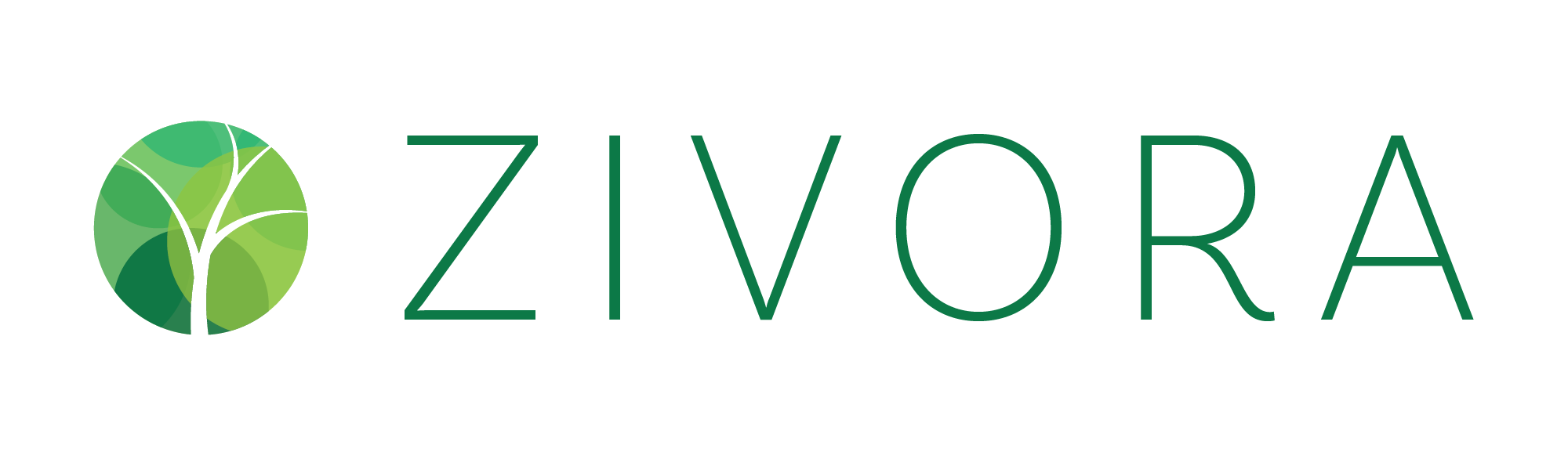 Zivora Marketing